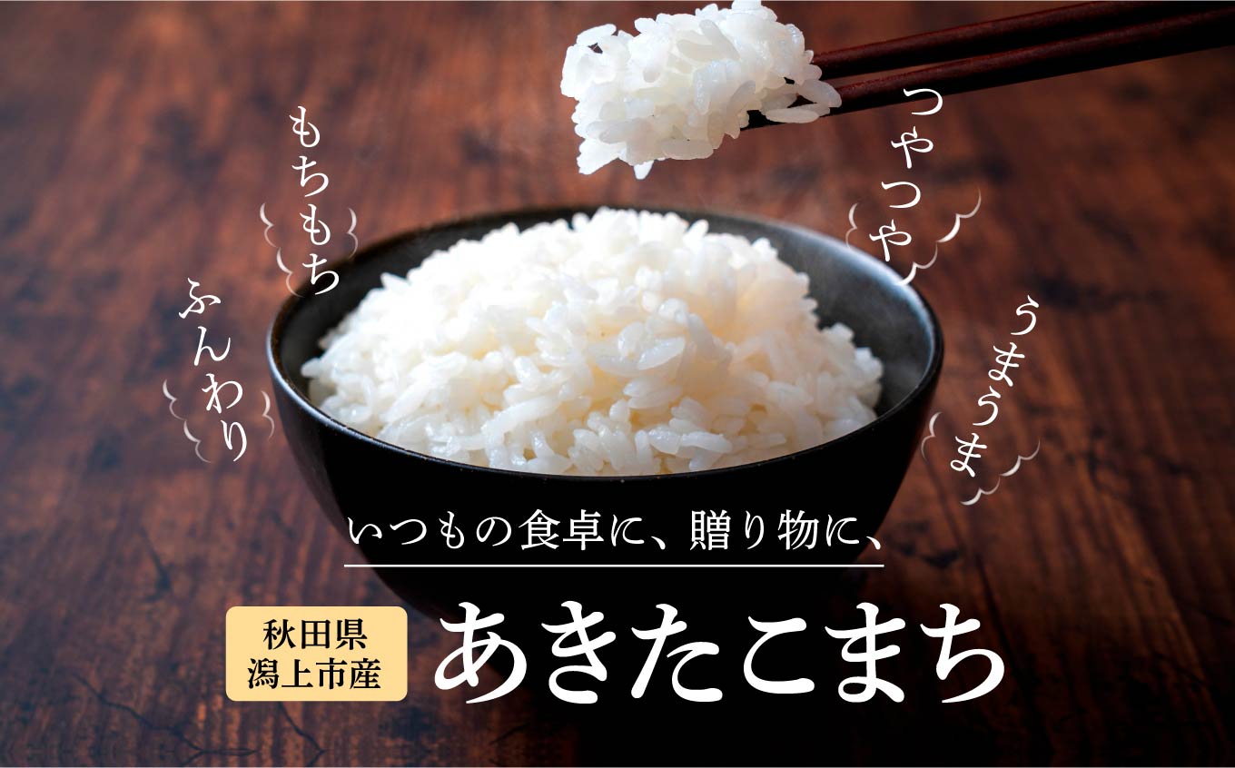 【6ヶ月定期便】新米 令和6年 秋田県産 あきたこまち 5kg × 2袋 10kg 精米 直送 米 お米 こめ おこめ コメ ブランド米 美味しい 産地直送 贈り物プレゼント おいしいお米 美味しいお米 秋田こまち 訳あり わけあり 一人暮らし