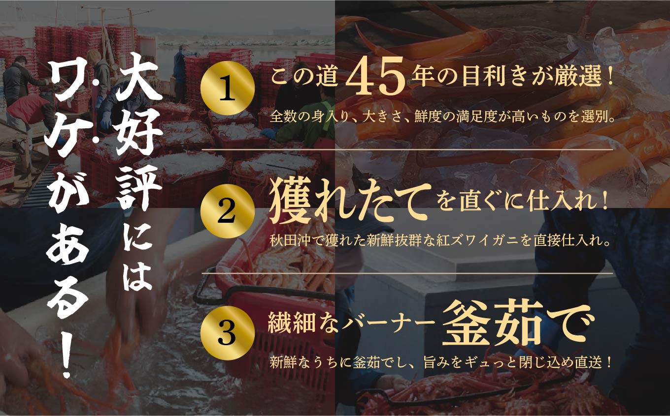 《3月初旬より順次配送》日本海沖産 紅ズワイガニ600g前後×4匹 約2.4kg/冷蔵　　 冷蔵 ズワイガニ 4匹 約 2.4kg 紅ズワイガニ ベニズワイガニ ずわい ズワイ蟹 ずわいがに ずわい蟹 姿 ボイル 訳あり 蟹 カニ かに 国産 蟹 不揃い 傷 緊急 カニみそ入り 潟上市