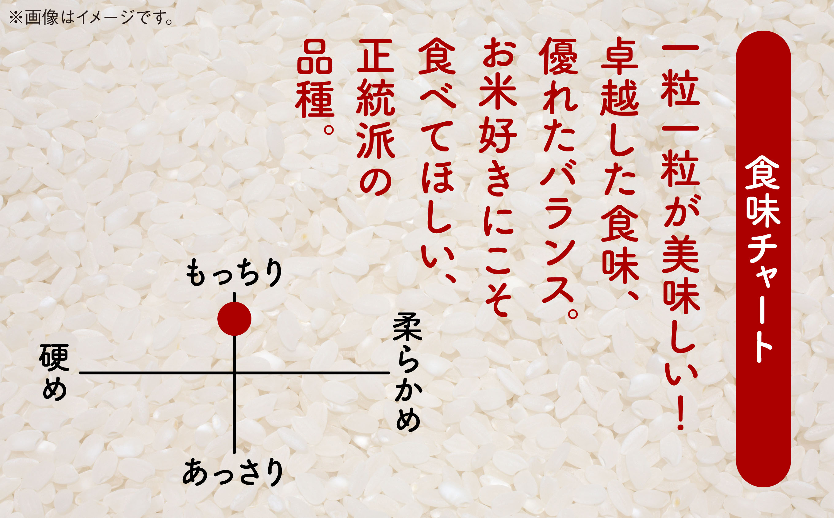 【令和6年産】サキホコレ（精米）10㎏（5kg×2）