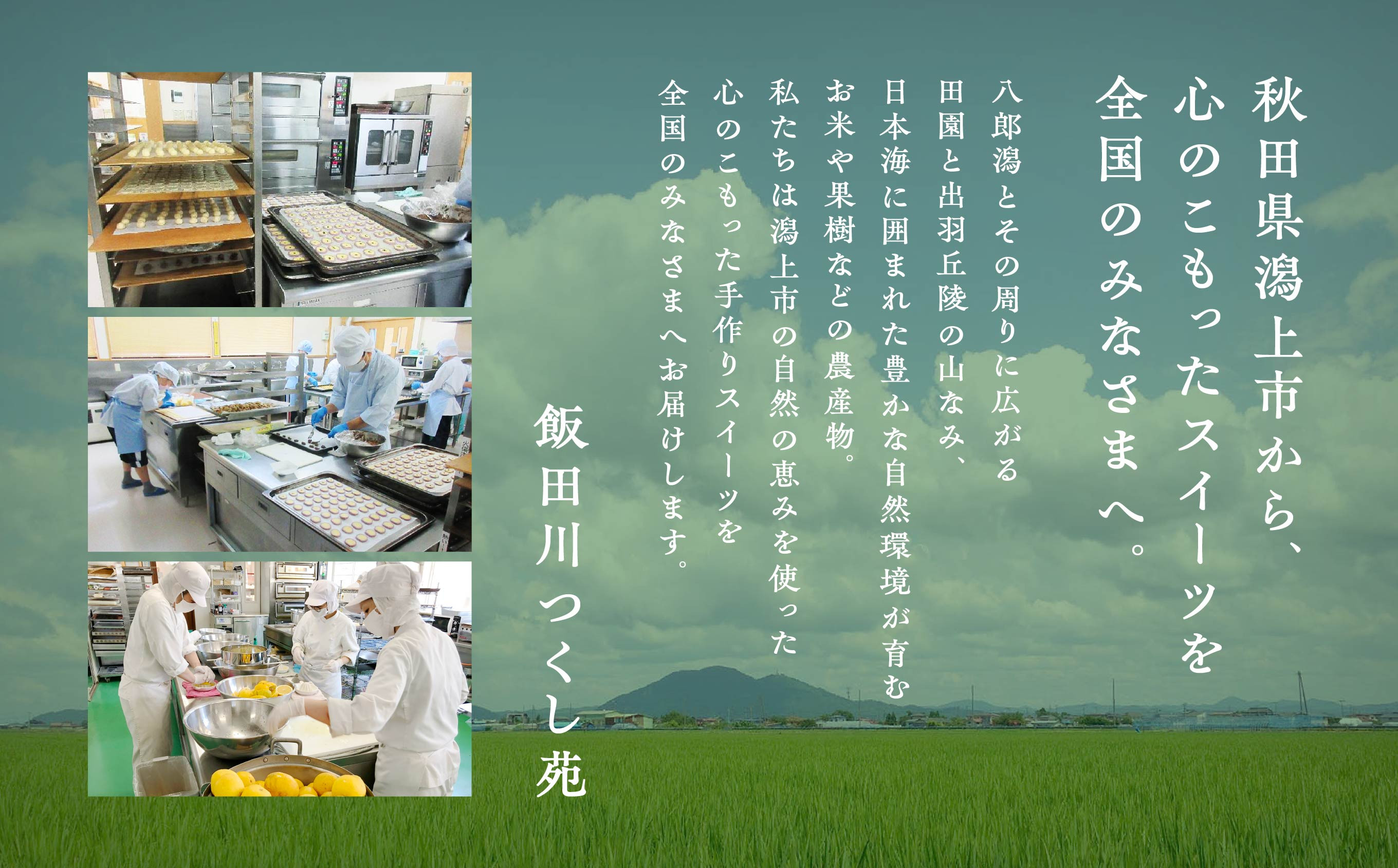 濃厚ショコラケーキ 12個 セット 洋菓子 お菓子 ケーキ チョコレート 詰め合わせ 冷蔵 冷凍 ご当地 グルメ 故郷 ふるさと 納税 潟上 潟上市 バレンタイン ホワイトデー 遅れてごめんね お取り寄せ 個包装 秋田