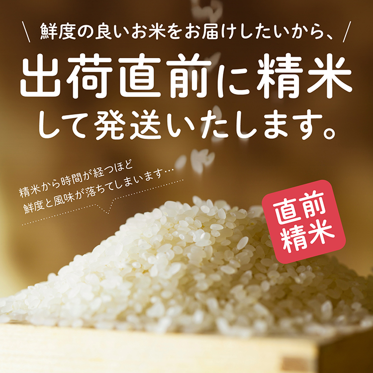 《令和7年産》【3か月定期便】《白米》あきたこまち なまはげ 米袋 米 5kg×3回 一等米 ギフト パッケージ 限定デザイン 紙袋 リメイク 工作 お面 こども お土産 秋田 潟上市 【こまちライン】