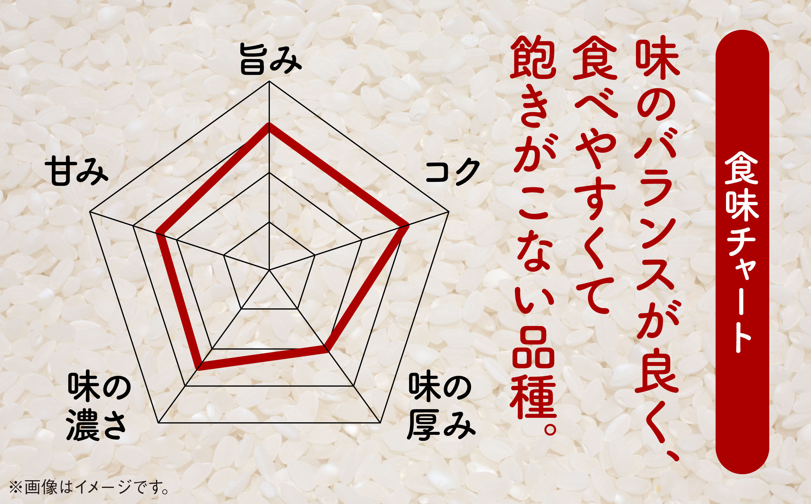 令和6年産　潟上市産あきたこまち（精米）5kg（5kg×1）