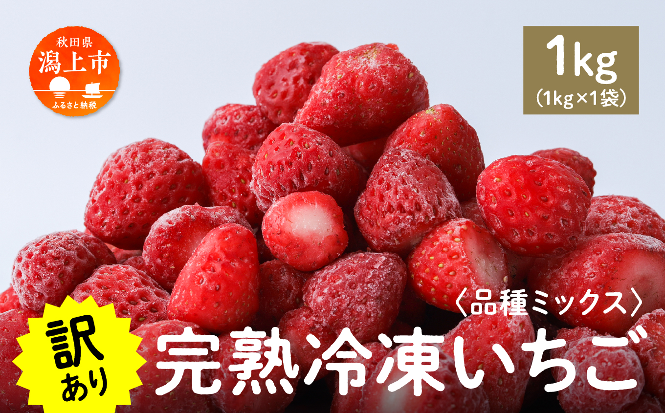 《 訳あり 》 冷凍いちご 大容量 規格外 不揃い 完熟 国産 採れたて 1kg 1袋 真空 個包装 バラ冷凍 ヘタなし 葉なし 冷凍 選べる いちご 苺 人気