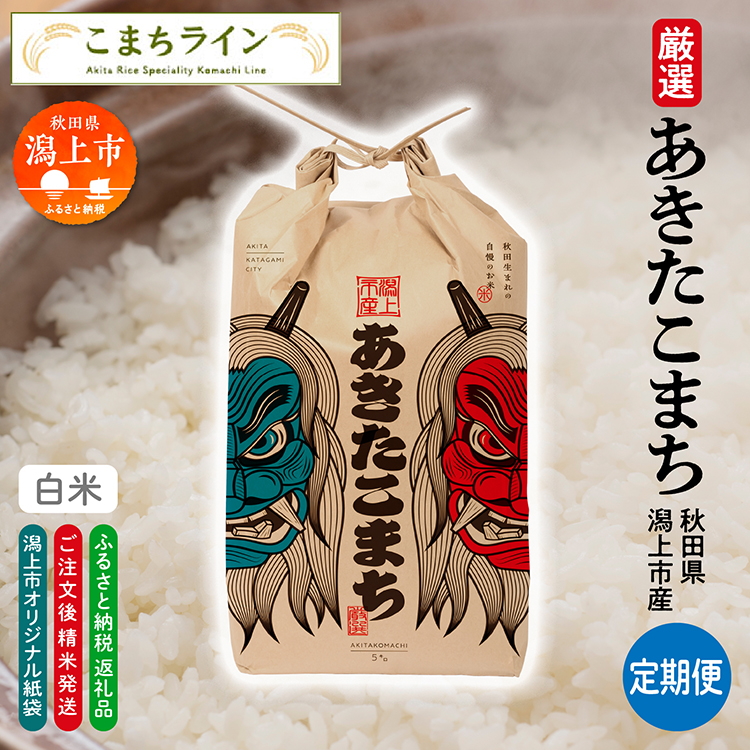 《令和7年産》【3か月定期便】《白米》あきたこまち なまはげ 米袋 米 5kg×3回 一等米 ギフト パッケージ 限定デザイン 紙袋 リメイク 工作 お面 こども お土産 秋田 潟上市 【こまちライン】