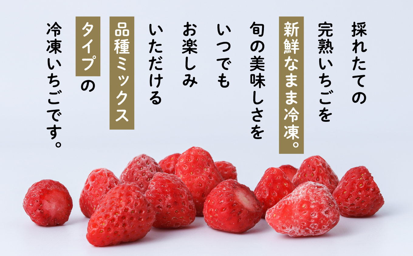 《 訳あり 》 冷凍いちご 食べきり 規格外 不揃い 完熟 国産 採れたて 20袋 真空 個包装 バラ冷凍 ヘタなし 葉なし 冷凍 選べる いちご 苺 人気