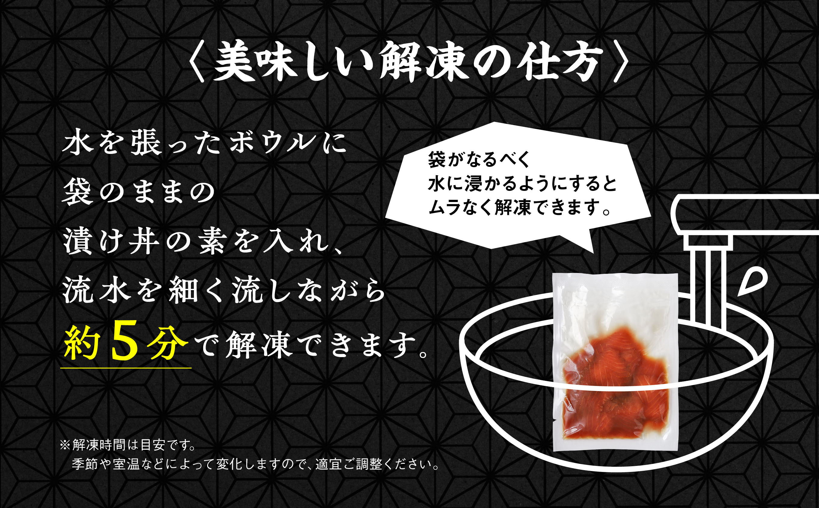 サーモン漬け丼セット 60g×10袋 計600g 訳アリ 訳あり 簡易包装 冷凍 時短 簡単調理 お手軽 小分け パック 個包装 一人暮らし 海鮮丼 海鮮 鮭 季節 魚 漬け 丼 魚介 おすすめ