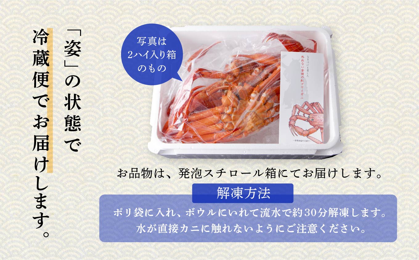 《3月初旬より順次配送》日本海沖産 紅ズワイガニ600g前後×2匹 約1.2kg/冷凍　 冷凍 ズワイガニ 2匹 約 1.2kg 紅ズワイガニ ベニズワイガニ ずわい ズワイ蟹 ずわいがに ずわい蟹 姿 ボイル 訳あり 蟹 カニ かに 国産 蟹 不揃い 傷 緊急 カニみそ入り 潟上市