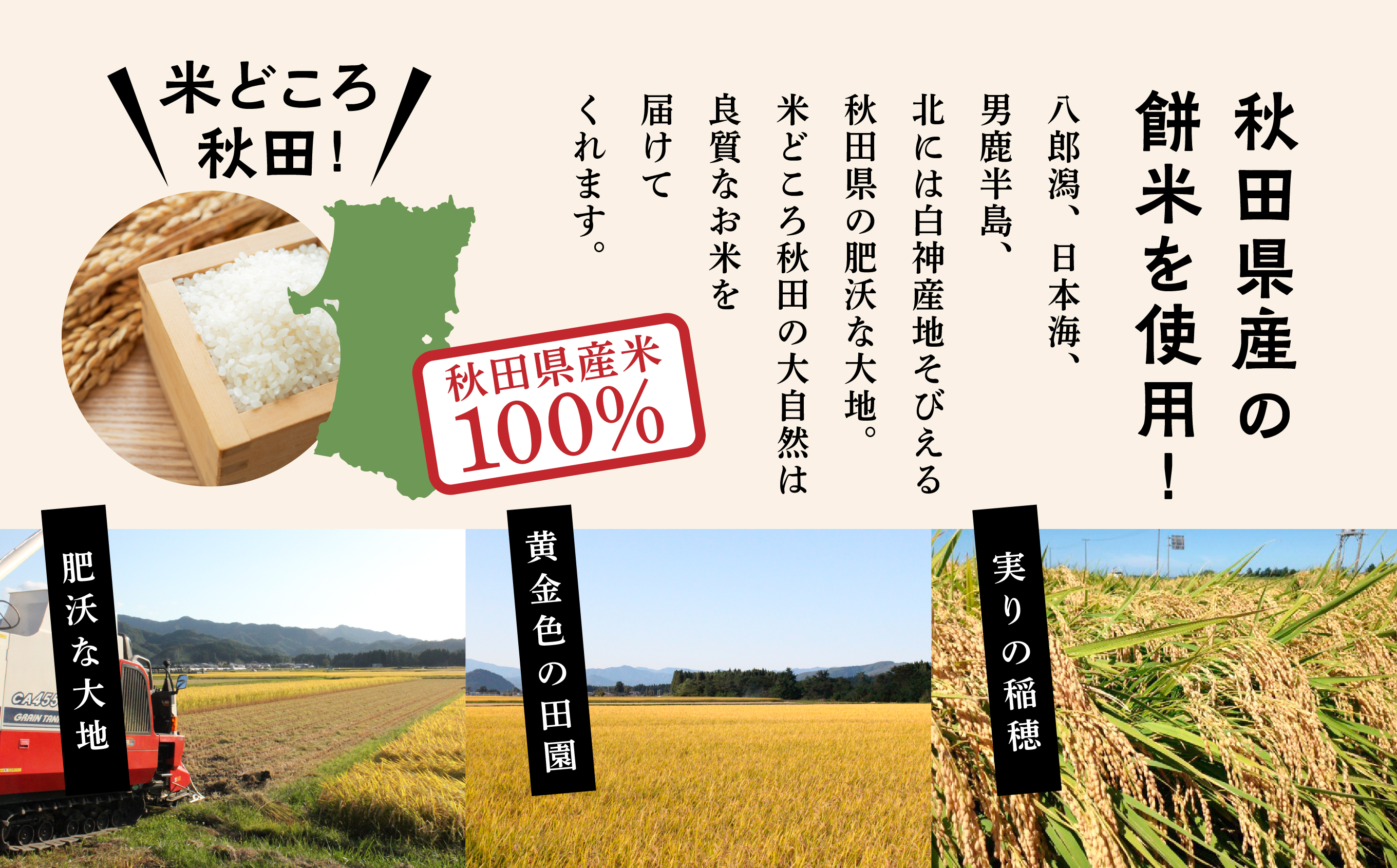 おこわ 比内地鶏 20個 冷凍 簡単調理 レンジ モチモチ もち米 鶏だし 濃厚 国産 鶏おこわ ちまき 竹皮 笹巻 笹巻き 炊き込みご飯 鶏飯 鶏めし 釜飯 釜めし 朝食 おやつ 比内地鶏専門店 冷凍グルメ 取り寄せ 人気 ランキング 訳あり 訳アリ