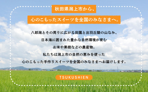 チーズ りんご タルト 12個 セット 洋菓子 お菓子 ケーキ チーズケーキ チーズ アップルタルト 詰め合わせ 冷蔵 冷凍 ご当地 グルメ バレンタイン ホワイトデー 遅れてごめんね お取り寄せ 個包装 秋田 潟上市 訳あり