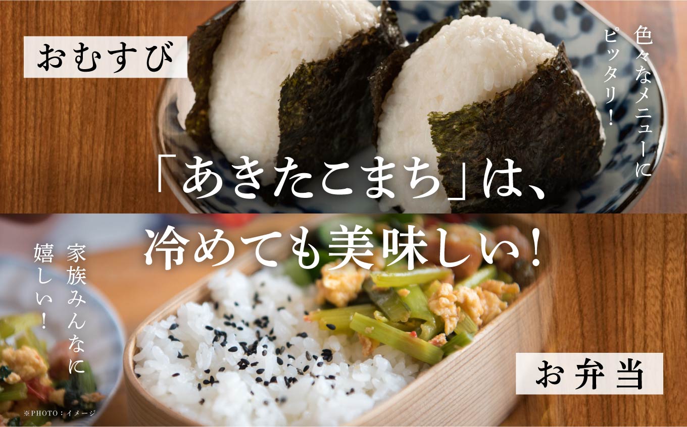 【6ヶ月定期便】新米 令和6年 秋田県産 あきたこまち 5kg × 2袋 10kg 精米 直送 米 お米 こめ おこめ コメ ブランド米 美味しい 産地直送 贈り物プレゼント おいしいお米 美味しいお米 秋田こまち 訳あり わけあり 一人暮らし