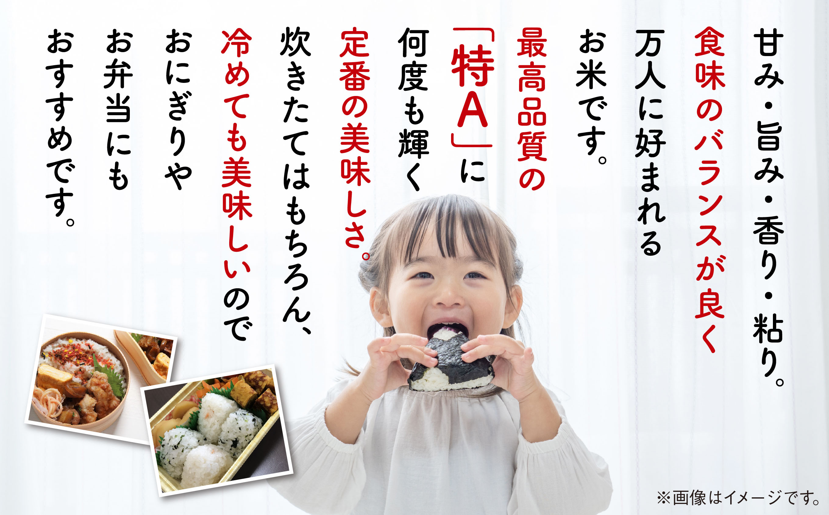 《 6ヶ月定期便 》 あきたこまち 5kg × 6ヶ月 令和6年産 精米 5kg × 1 半年 6回 6ヵ月 秋田県産 米 白米 定期 毎月 お米 コメ ごはん ご飯 ライス 小分け 旬 新鮮 グルメ おいしい もちもち おすすめ ふるさと 潟上市 秋田