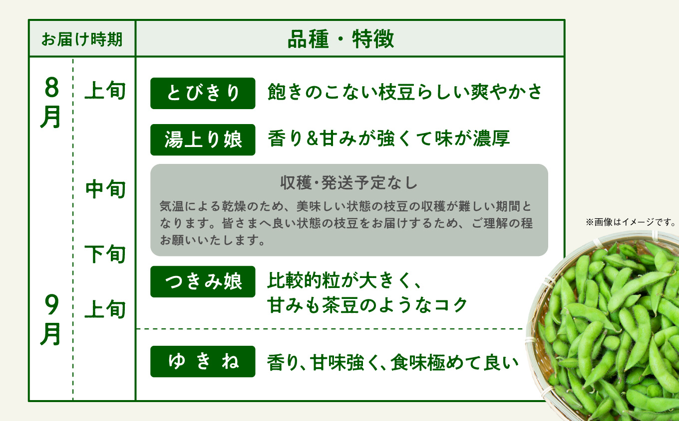 《先行予約》令和7年産 訳あり 枝豆 5kg 農家直送 収穫 当日発送 えだまめ 2kg 3kg × 各1袋 朝獲れ クール便 発送 朝採り 野菜 夏野菜 おつまみ 晩酌 Bランク お取り寄せ グルメ 潟上市 秋田 おいしい つまみ