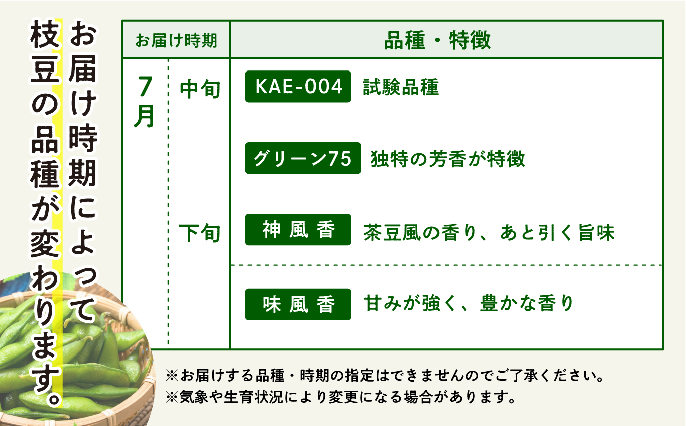 《先行予約》令和7年産 訳あり 枝豆 5kg 農家直送 収穫 当日発送 えだまめ 2kg 3kg × 各1袋 朝獲れ クール便 発送 朝採り 野菜 夏野菜 おつまみ 晩酌 Bランク お取り寄せ グルメ 潟上市 秋田 おいしい つまみ