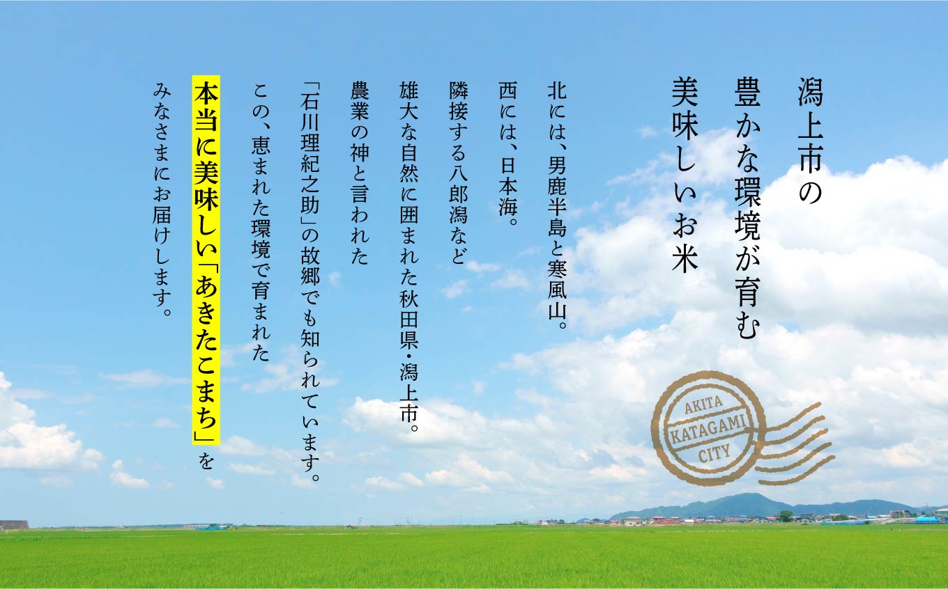 【6ヶ月定期便】新米 令和6年 秋田県産 あきたこまち 5kg × 2袋 10kg 精米 直送 米 お米 こめ おこめ コメ ブランド米 美味しい 産地直送 贈り物プレゼント おいしいお米 美味しいお米 秋田こまち 訳あり わけあり 一人暮らし