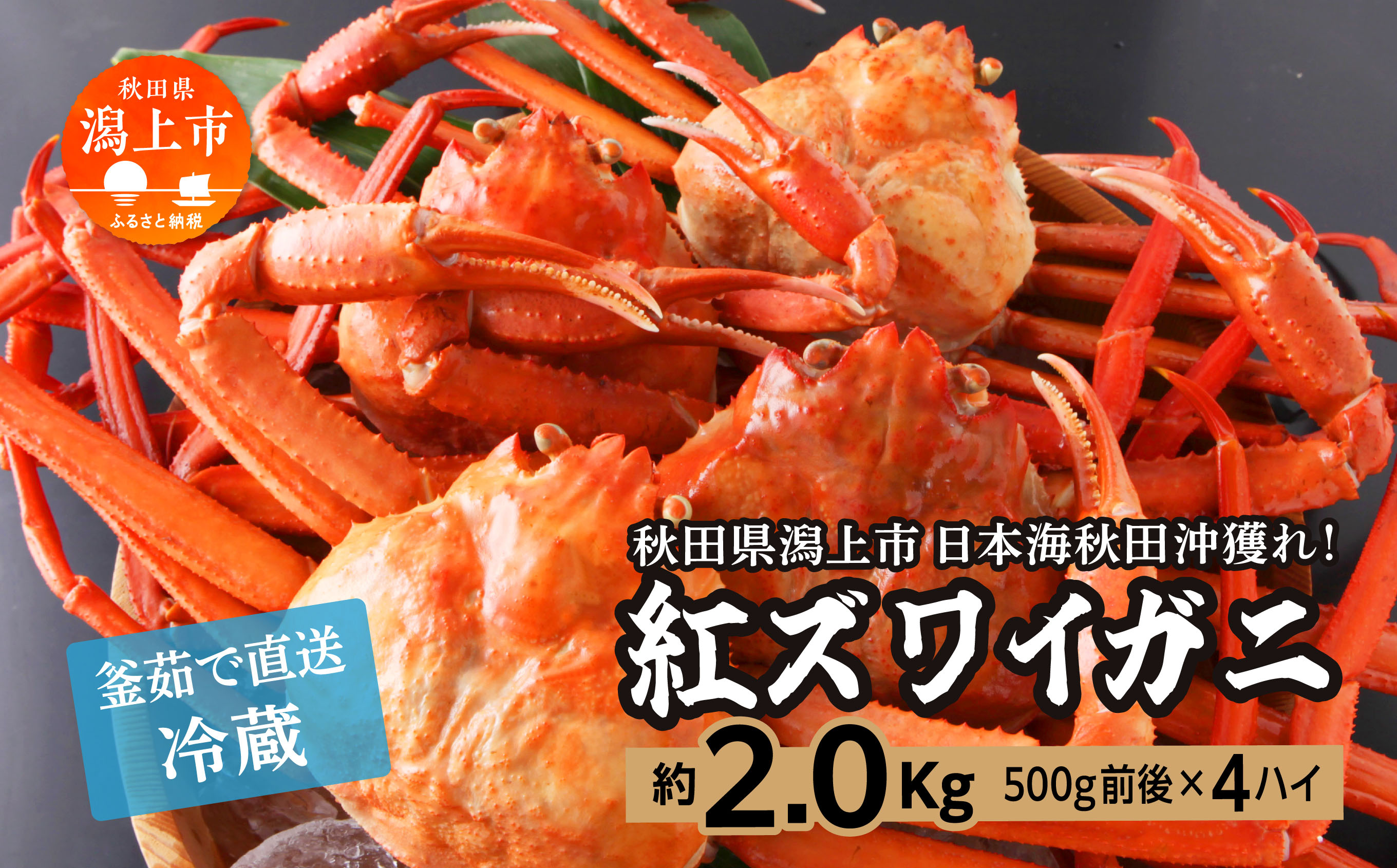 《3月初旬より順次配送》日本海沖産 紅ズワイガニ500g前後×4匹 約2.0kg/冷蔵　　 冷蔵 ズワイガニ 4匹 約 2.0kg 紅ズワイガニ ベニズワイガニ ずわい ズワイ蟹 ずわいがに ずわい蟹 姿 ボイル 訳あり 蟹 カニ かに 国産 蟹 不揃い 傷 緊急 カニみそ入り 潟上市