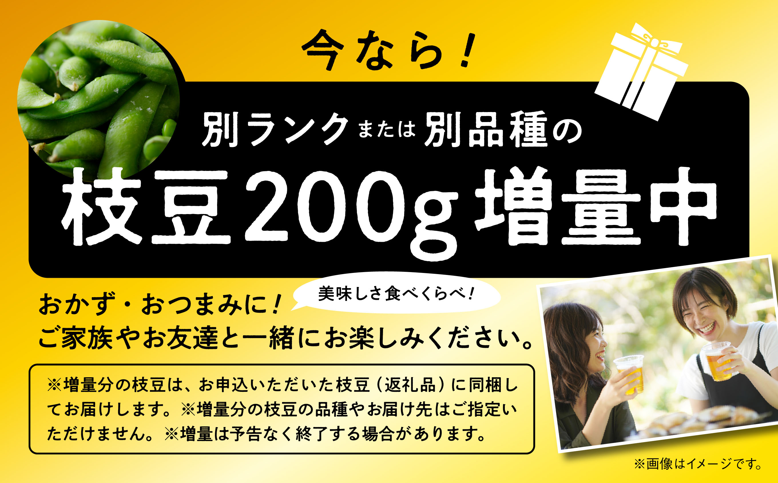 《先行予約》令和7年産 枝豆 3kg 農家直送 収穫 当日発送 A品 500g × 6袋 朝獲れ えだまめ 厳選 クール便 発送 個包装 朝採り 野菜 夏野菜 おつまみ 晩酌 特上 Aランクお取り寄せ グルメ 潟上市 秋田 おいしい つまみ