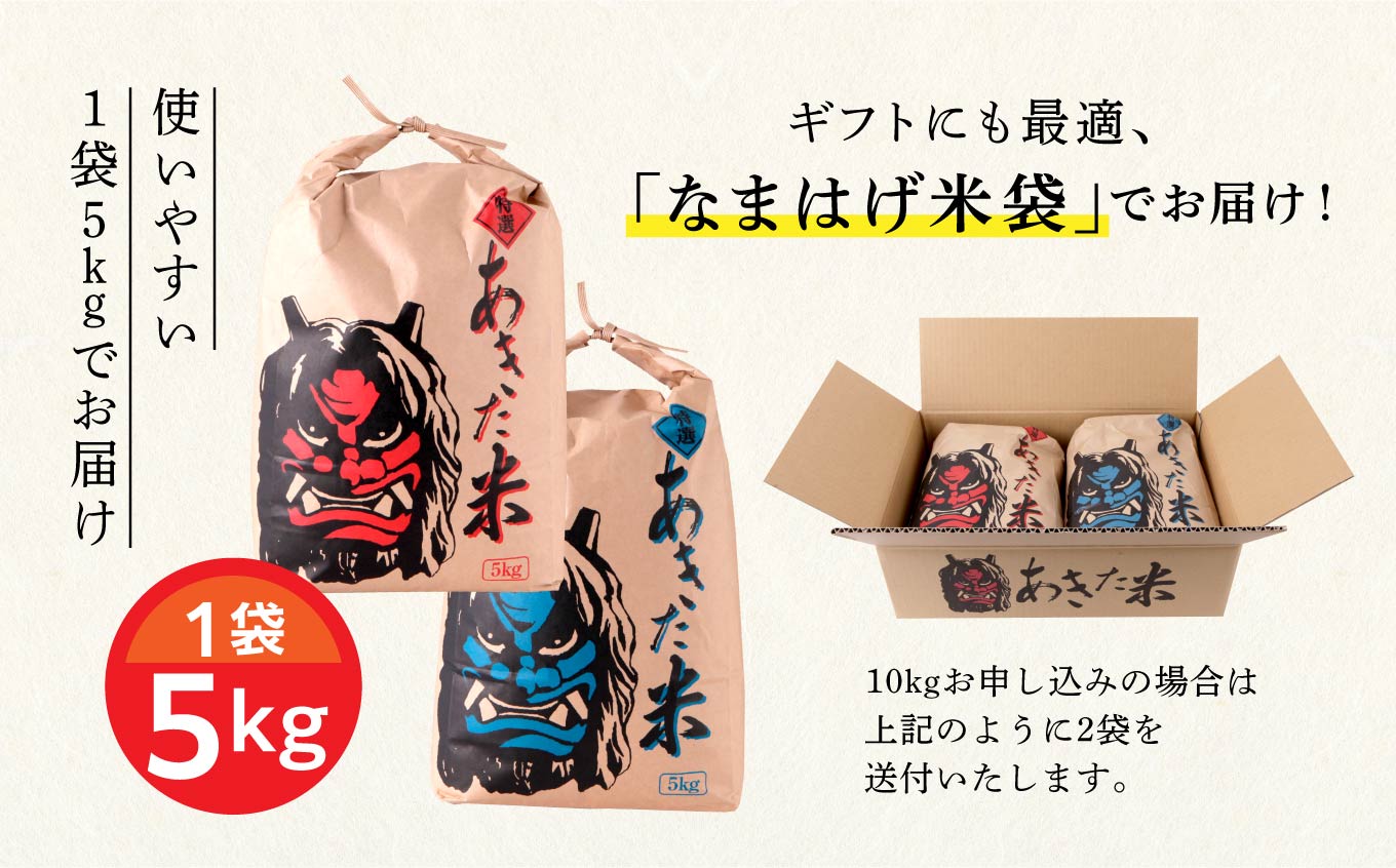 新米 令和6年 秋田県産 あきたこまち 5kg × 2袋 10kg 精米 直送 米 お米 こめ おこめ コメ ブランド米 美味しい 産地直送 贈り物プレゼント おいしいお米 美味しいお米 秋田こまち 訳あり わけあり 一人暮らし