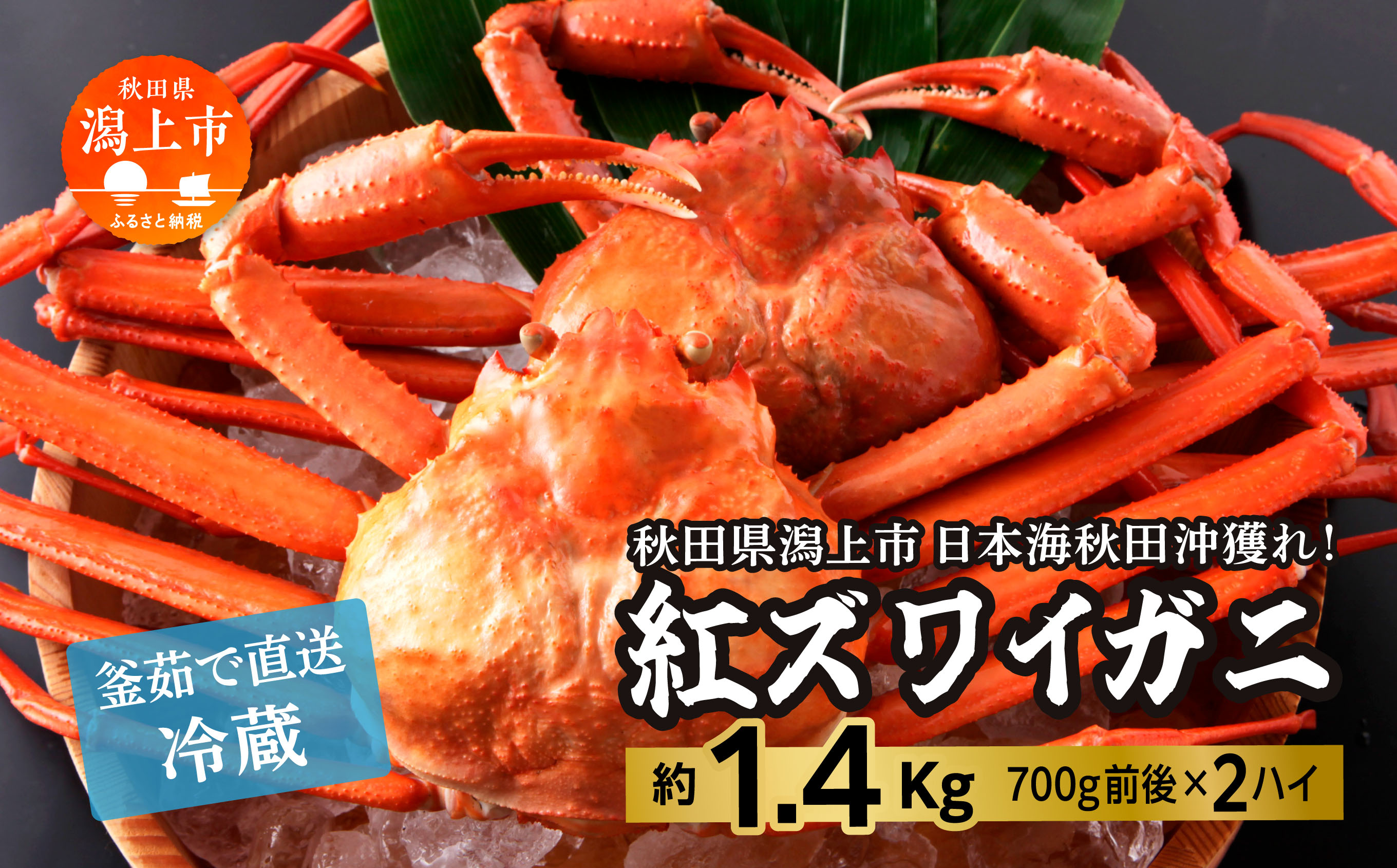 《3月初旬より順次配送》日本海沖産 紅ズワイガニ700g前後×2匹 約1.4kg/冷蔵　　冷蔵 ズワイガニ 2匹 大 約 1.4kg 紅ズワイガニ ベニズワイガニ ずわい ズワイ蟹 ずわいがに ずわい蟹 姿 ボイル 訳あり 蟹 カニ かに 国産 蟹 不揃い 傷 緊急 カニみそ入り 潟上市