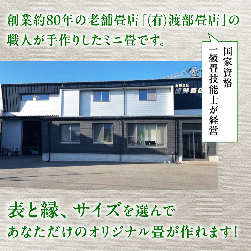 選べるミニ畳　正方形 12.0 × 12.0 cm 1枚 インテリア 花瓶台 フィギュア置き コースター たたみ タタミ 和 ギフト おすすめ 人気 【渡部畳店】
