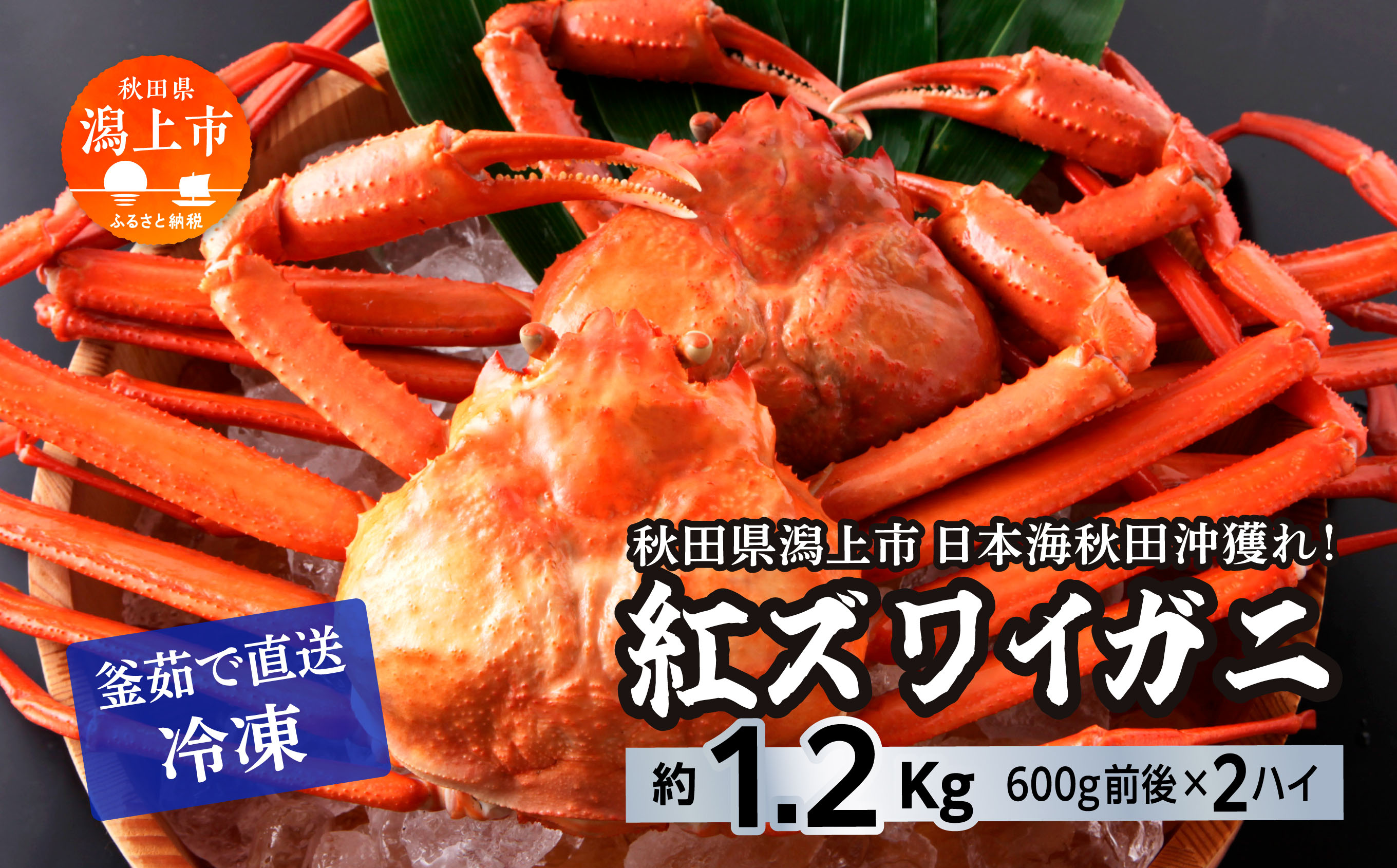 《3月初旬より順次配送》日本海沖産 紅ズワイガニ600g前後×2匹 約1.2kg/冷凍　 冷凍 ズワイガニ 2匹 約 1.2kg 紅ズワイガニ ベニズワイガニ ずわい ズワイ蟹 ずわいがに ずわい蟹 姿 ボイル 訳あり 蟹 カニ かに 国産 蟹 不揃い 傷 緊急 カニみそ入り 潟上市