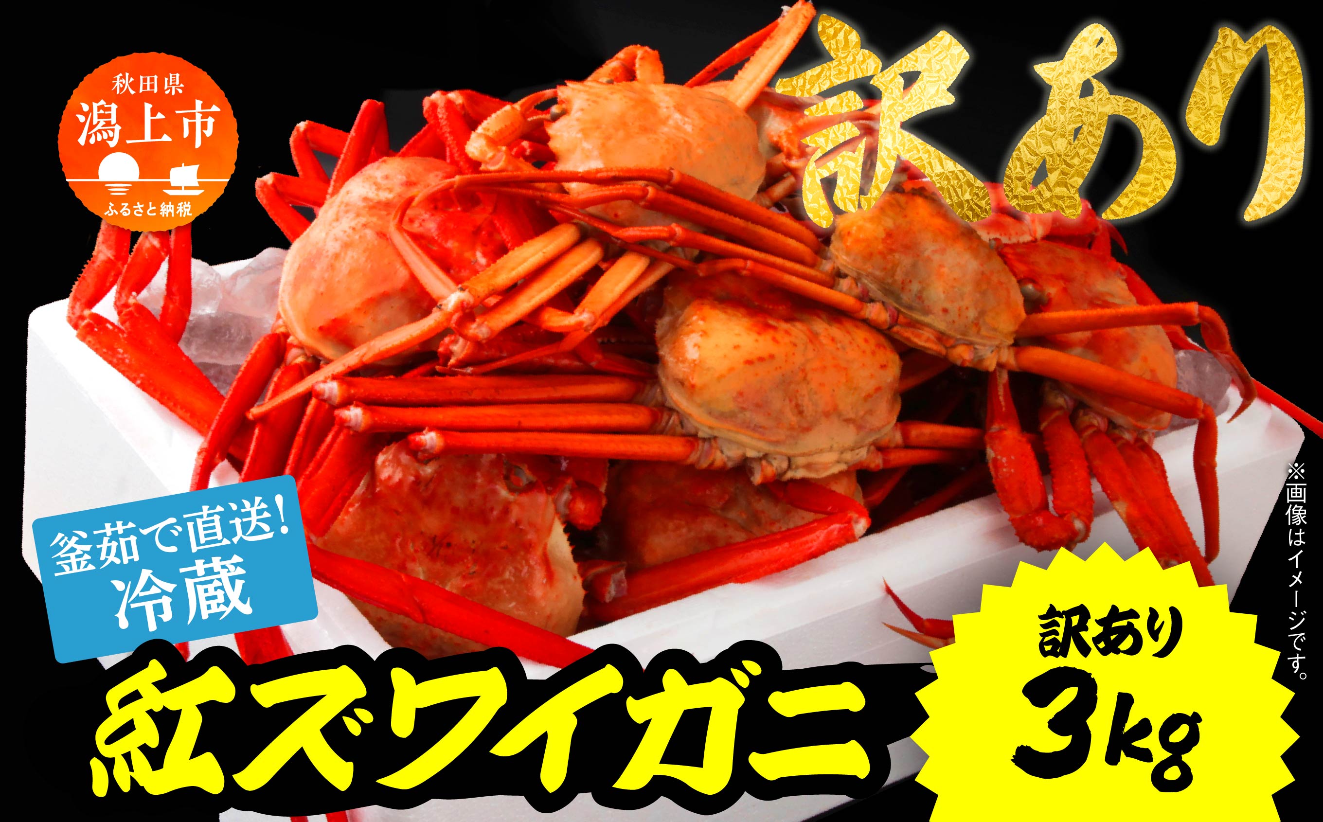 《3月初旬より順次配送》【訳あり】日本海沖産　紅ズワイガニ 約3kg/冷蔵　　冷蔵 ズワイガニ 約 3kg 紅ズワイガニ ベニズワイガニ ずわい ズワイ蟹 ずわいがに ずわい蟹 姿 ボイル 訳あり 蟹 カニ かに 国産 蟹 不揃い 傷 緊急 カニみそ入り 潟上市