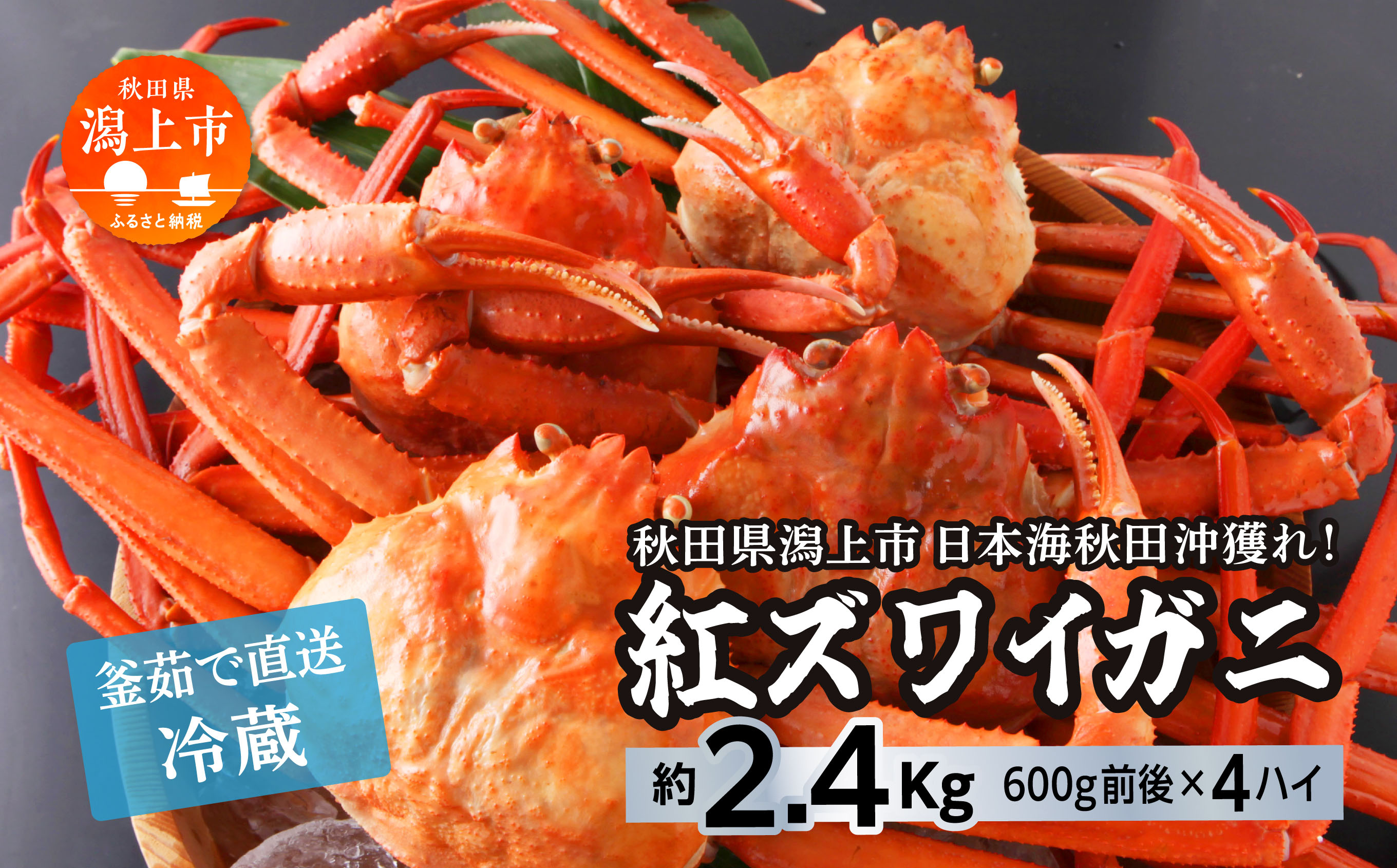 《3月初旬より順次配送》日本海沖産 紅ズワイガニ600g前後×4匹 約2.4kg/冷蔵　　 冷蔵 ズワイガニ 4匹 約 2.4kg 紅ズワイガニ ベニズワイガニ ずわい ズワイ蟹 ずわいがに ずわい蟹 姿 ボイル 訳あり 蟹 カニ かに 国産 蟹 不揃い 傷 緊急 カニみそ入り 潟上市