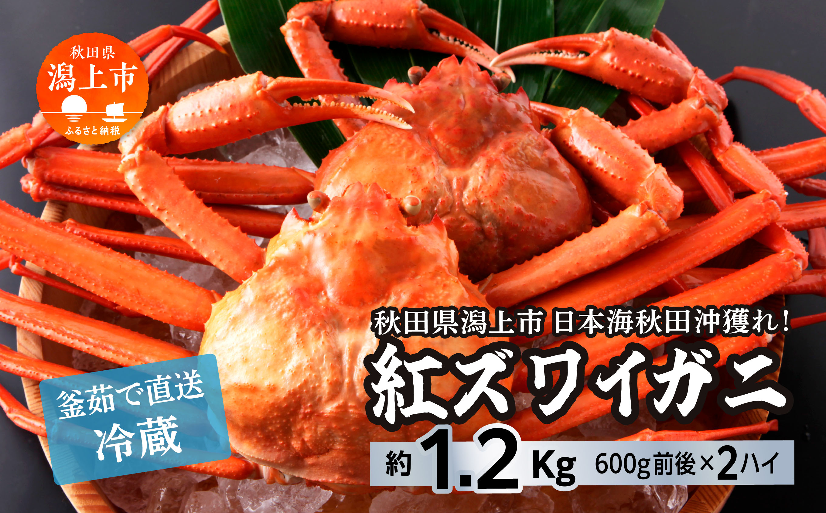 《3月初旬より順次配送》 日本海沖産 紅ズワイガニ600g前後×2匹 約1.2kg/冷蔵　　冷蔵 ズワイガニ 2匹 約 1.2kg 紅ズワイガニ ベニズワイガニ ずわい ズワイ蟹 ずわいがに ずわい蟹 姿 ボイル 訳あり 蟹 カニ かに 国産 蟹 不揃い 傷 緊急 カニみそ入り 潟上市