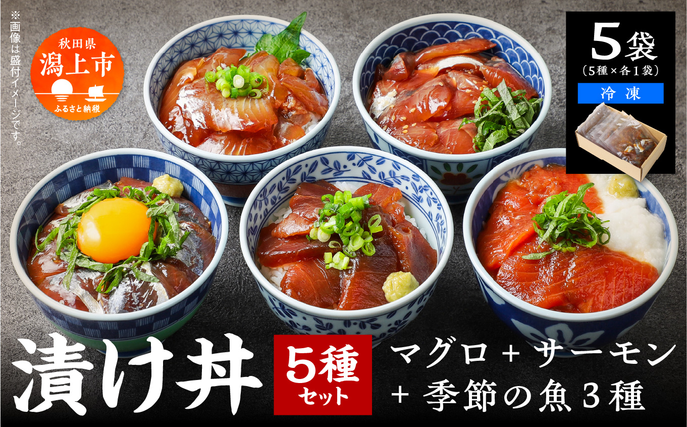 海鮮漬け丼セット 5種×1袋 60g×5袋 計300g 食べ比べ 訳アリ 訳あり 簡易包装 冷凍 海鮮丼 海鮮 マグロ サーモン タイ アジ イナダ 季節 魚 漬け 丼 魚介 簡単調理 お手軽 小分け パック 個包装