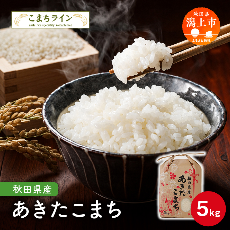 定番 秋田県産 あきたこまち 5kg 米 一等米 返礼品 こめ コメ 人気 おすすめ 5キロ 人気 おすすめ ランキング グルメ 故郷 ふるさと 納税 秋田 潟上 潟上市 一人暮らし 【こまちライン】