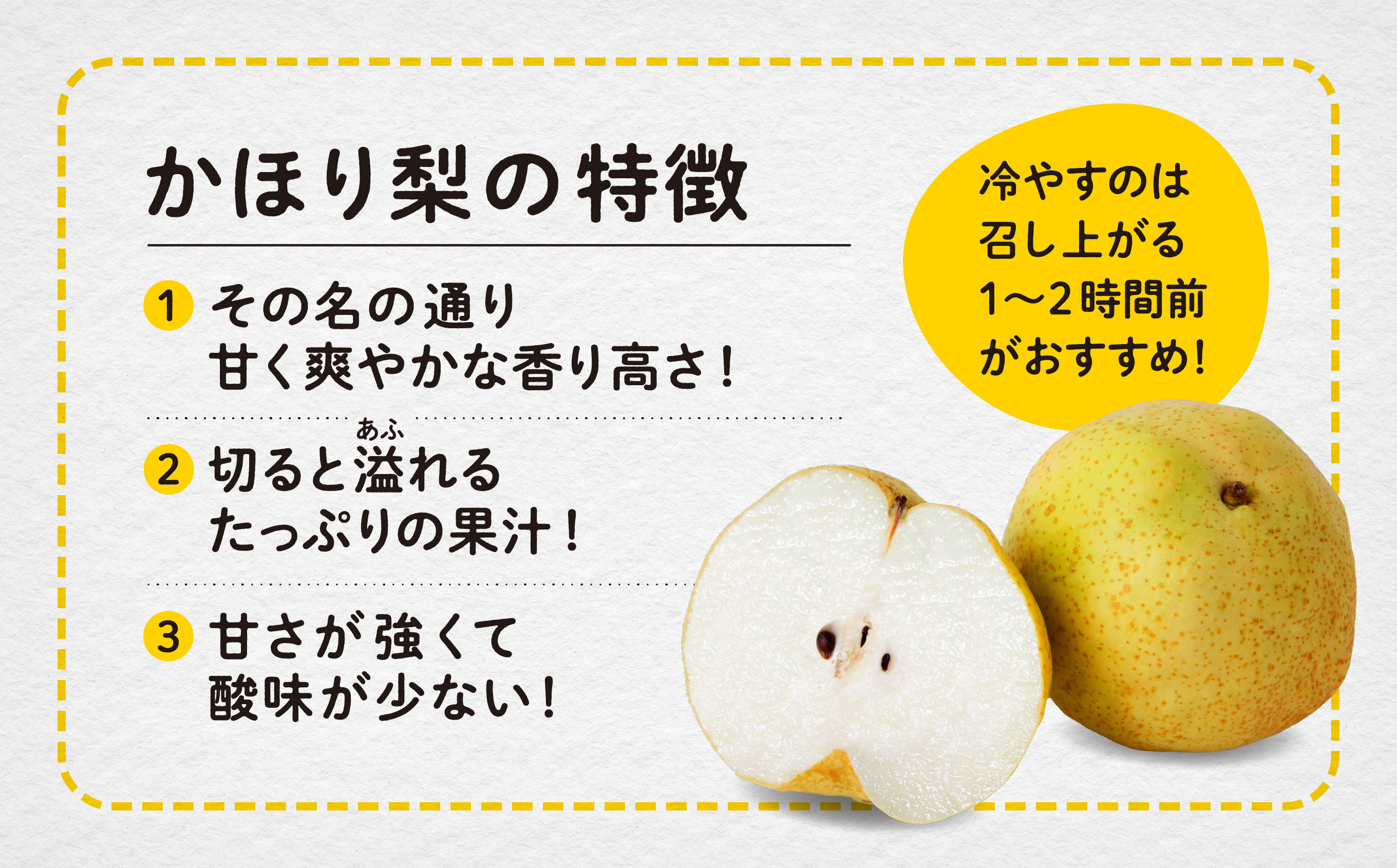 令和6年産 和梨 かほり梨 かほり 旬 甘い 大玉 800g くだもの 果物 フルーツ なし ナシ 冷蔵 グルメ 訳あり わけあり 人気 おすすめ ランキング 故郷 ふるさと 納税 秋田 秋田県 潟上 潟上市