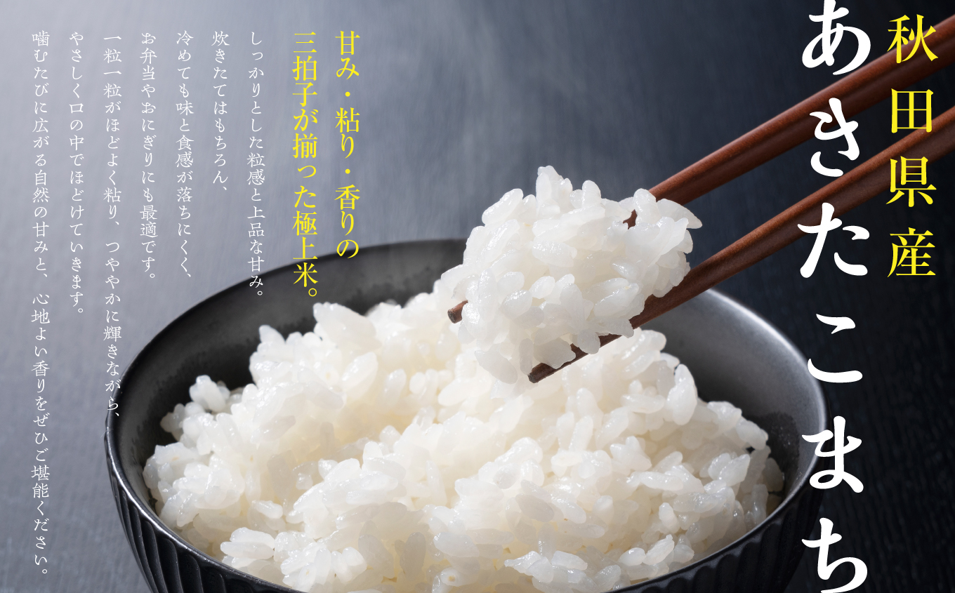 米 あきたこまち 令和7年産 白米 20kg(5kg×4) 5kg袋 選べる 容量 5キロ 小分け 米 お米 おこめ コスパ ふるさと こめ kome コメ 一人暮らし おすすめ ふるさと ふるのう 潟上市 秋田県 送料無料  【秋田のこまち農場】