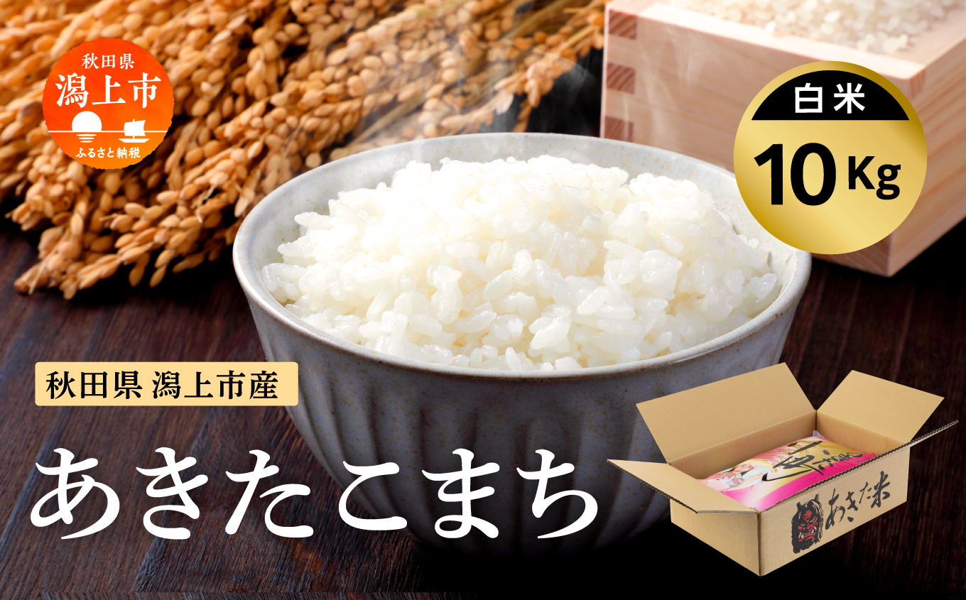 令和7年産 あきたこまち 10kg 精米 直送 米 お米 こめ おこめ コメ コスパ ブランド米 産地直送 贈り物 プレゼント おいしい お米 秋田こまち 秋田県潟上市 【鎌仁商店】
