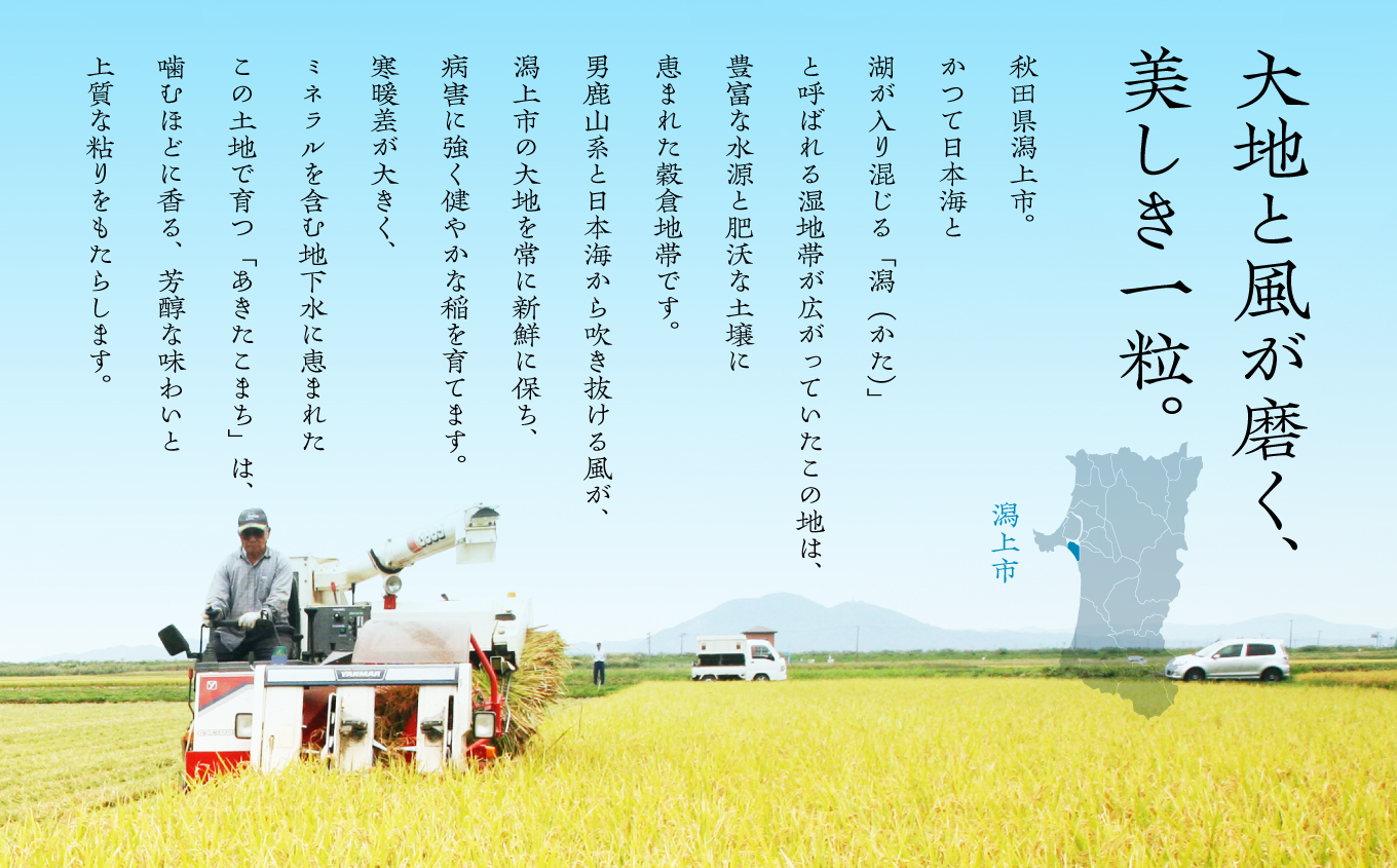 螳壽悄萓ソ 邇 邀ウ 縺ゅ″縺溘%縺セ縺。 莉、蜥7蟷エ逕」 邇邀ウ 25kg(5kgテ5) テ 9繝カ譛 5kg陲 驕ク縺ケ繧句ョケ驥 螳壽悄 9繝カ譛 9縺区怦 9蝗 縺顔アウ 繧ウ繧ケ繝 縺薙a 繧ウ繝。 kome 貎滉ク雁ク 遘狗伐逵 騾∵侭辟。譁 縲千ァ狗伐縺ョ縺薙∪縺。霎イ蝣エ縲