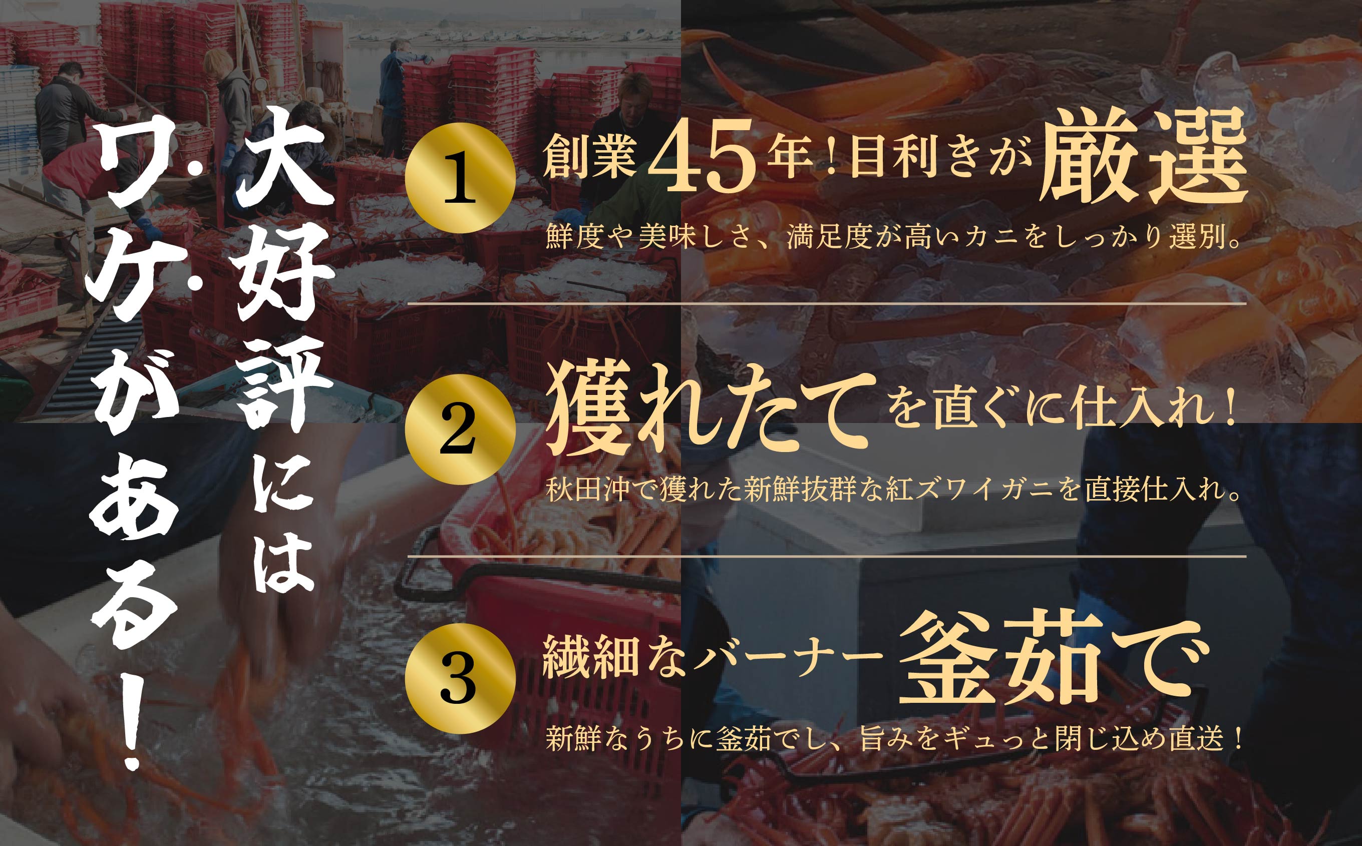 《3月初旬より順次配送》【訳あり】日本海沖産　紅ズワイガニ 約3kg/冷蔵　　冷蔵 ズワイガニ 約 3kg 紅ズワイガニ ベニズワイガニ ずわい ズワイ蟹 ずわいがに ずわい蟹 姿 ボイル 訳あり 蟹 カニ かに 国産 蟹 不揃い 傷 緊急 カニみそ入り 潟上市