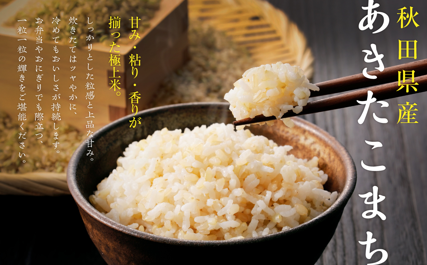 玄 米 あきたこまち 令和7年産 玄米 25kg(5kg×5) 5kg袋 選べる 容量 5キロ 小分け 米 お米 おこめ コスパ ふるさと こめ kome コメ 一人暮らし おすすめ ふるさと ふるのう 潟上市 秋田県 送料無料  【秋田のこまち農場】