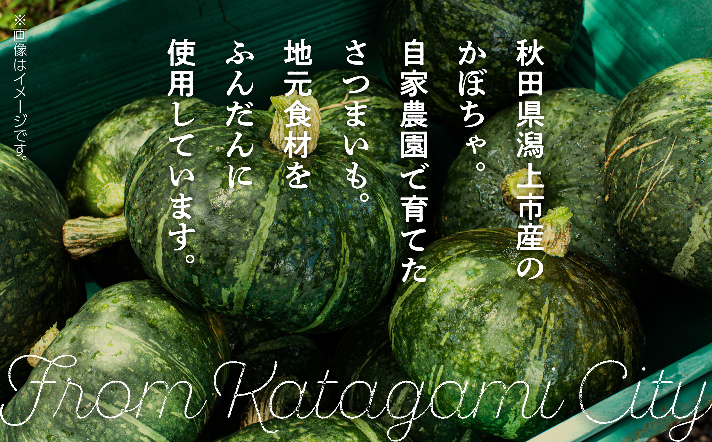 どんぐりの森 焼き菓子セット