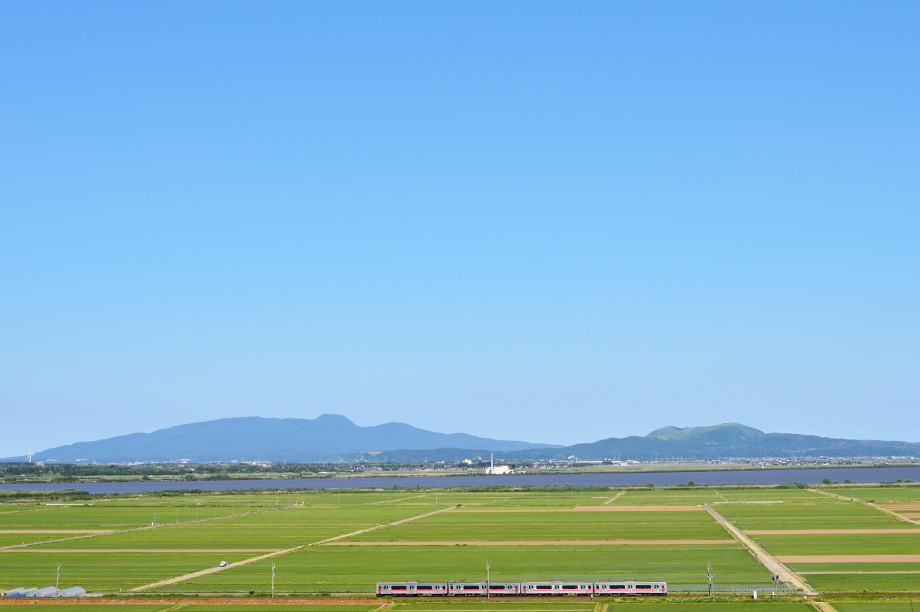 使いみちを指定しない