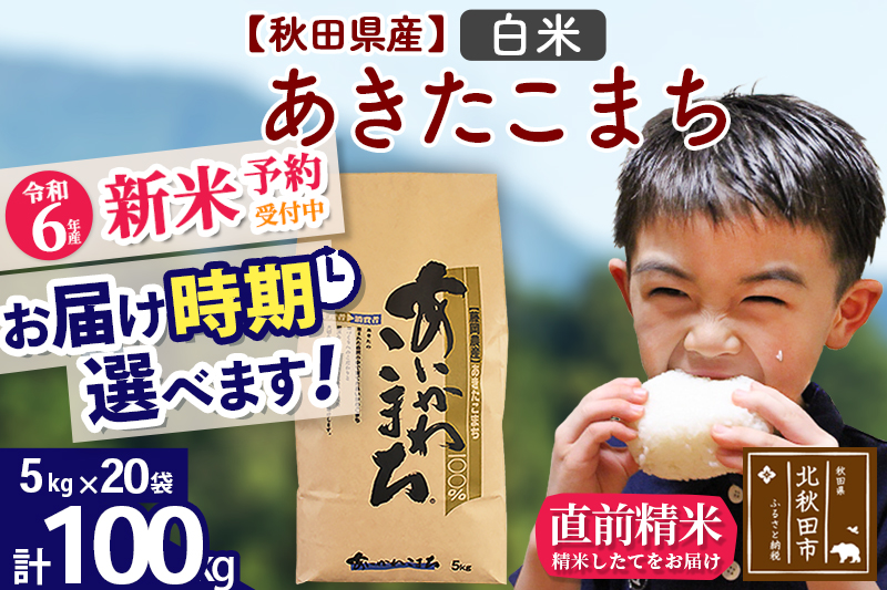 ※令和6年産 新米予約※秋田県産 あきたこまち 100kg【白米】(5kg小分け袋) 【1回のみお届け】2024産 お届け時期選べる お米 藤岡農産