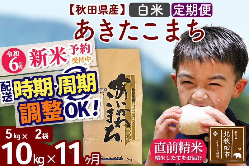 ※令和6年産 新米予約※《定期便11ヶ月》秋田県産 あきたこまち 10kg【白米】(5kg小分け袋) 2024年産 お届け時期選べる お届け周期調整可能 隔月に調整OK お米 藤岡農産