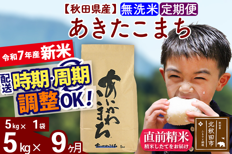 ※令和7年産 新米※《定期便9ヶ月》秋田県産 あきたこまち 5kg【無洗米】(5kg小分け袋) 2025年産 お届け時期選べる お届け周期調整可能 隔月に調整OK お米 藤岡農産