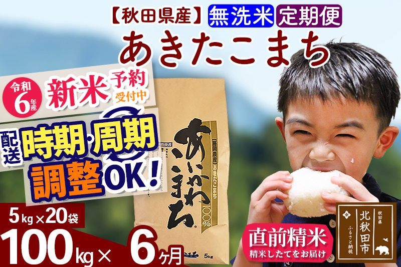 ※令和6年産 新米予約※《定期便6ヶ月》秋田県産 あきたこまち 100kg【無洗米】(5kg小分け袋) 2024年産 お届け時期選べる お届け周期調整可能 隔月に調整OK お米 藤岡農産