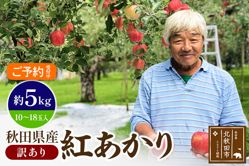 ＜先行予約＞りんご 紅あかり（訳あり）約5kg (10〜18玉入) 伊東さんの「伏影りんご」 令和6年産 秋田県産 個数限定 リンゴ マタギのりんご