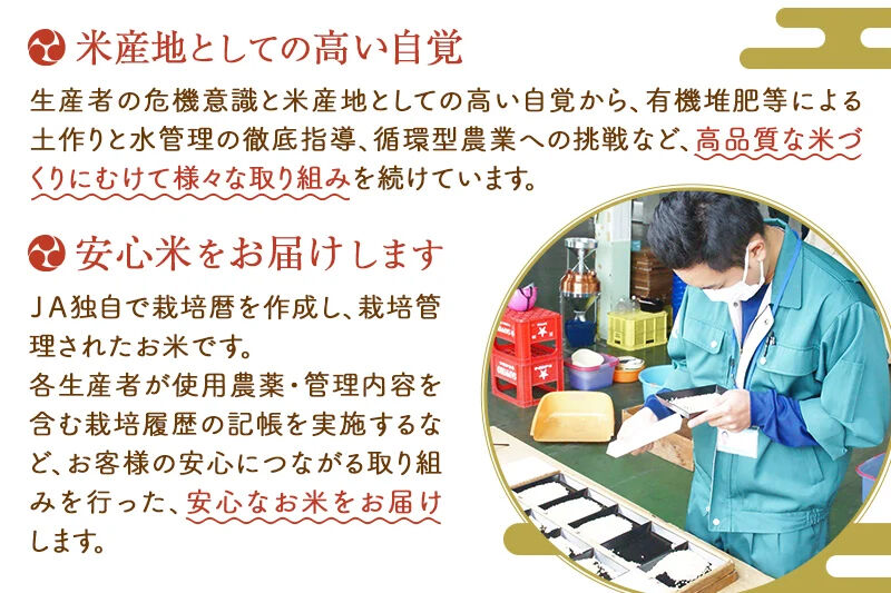 JA秋田たかのす あきたこまち 白米10kg（5kg×2袋）10キロ お米 令和7年産 秋田たかのす農業協同組合 [米 あきたこまち 秋田県産 おにぎり お弁当 おむすび 冷めてもおいしい 甘味 白米]