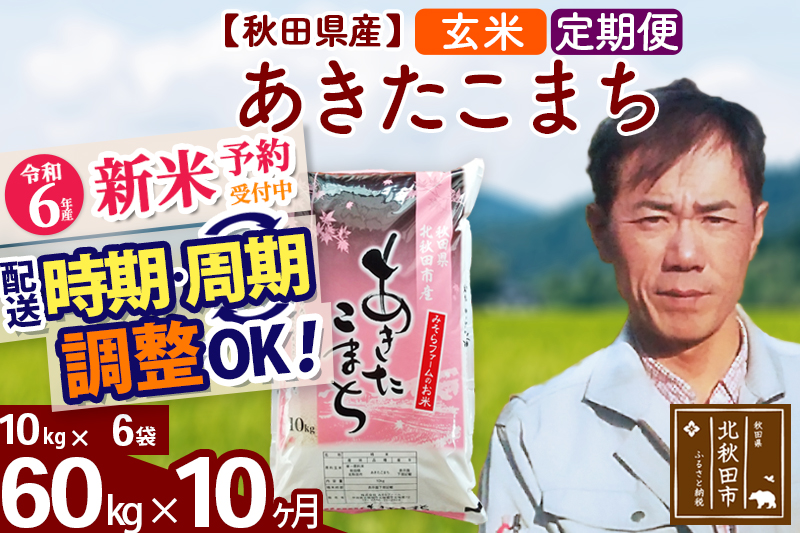 ※令和6年産 新米予約※《定期便10ヶ月》秋田県産 あきたこまち 60kg【玄米】(10kg袋) 2024年産 お届け時期選べる お届け周期調整可能 隔月に調整OK お米 みそらファーム