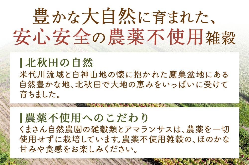 雑穀 ひえ 計600g（200g×3袋） 農薬不使用 無農薬 ご飯に混ぜて炊くだけ 国産 国内産