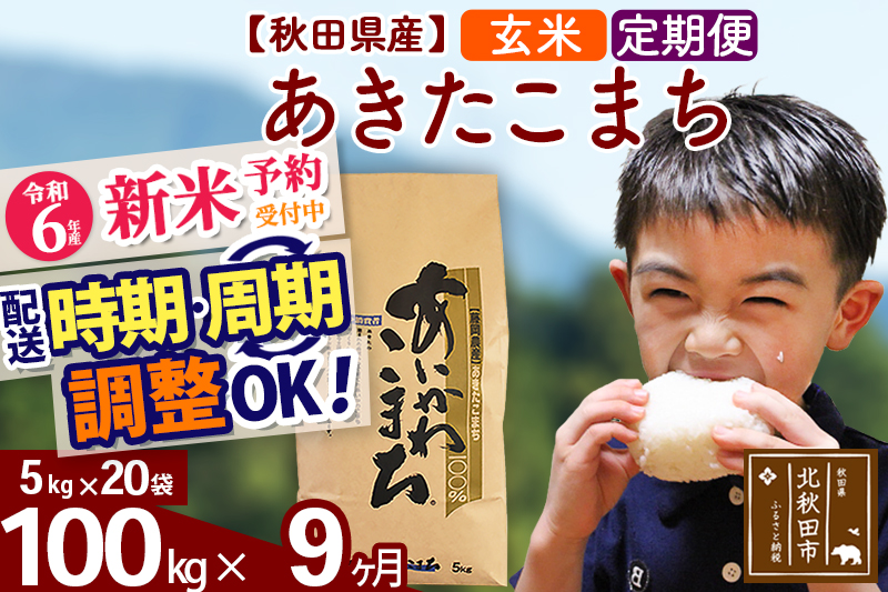 ※令和6年産 新米予約※《定期便9ヶ月》秋田県産 あきたこまち 100kg【玄米】(5kg小分け袋) 2024年産 お届け時期選べる お届け周期調整可能 隔月に調整OK お米 藤岡農産