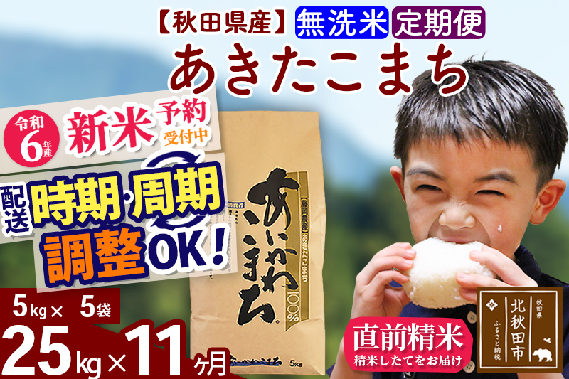 ※令和6年産 新米予約※《定期便11ヶ月》秋田県産 あきたこまち 25kg【無洗米】(5kg小分け袋) 2024年産 お届け時期選べる お届け周期調整可能 隔月に調整OK お米 藤岡農産