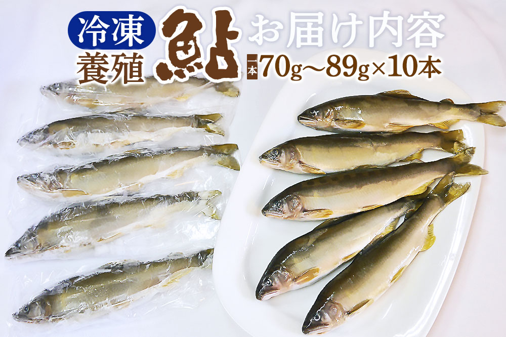 冷凍 鮎 10本 個包装【あゆ 小分け 魚 焼き魚 焼魚 川魚 バーベキューに】