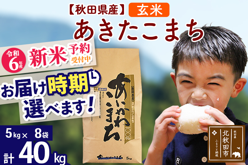 ※令和6年産 新米予約※秋田県産 あきたこまち 40kg【玄米】(5kg小分け袋) 【1回のみお届け】2024産 お届け時期選べる お米 藤岡農産