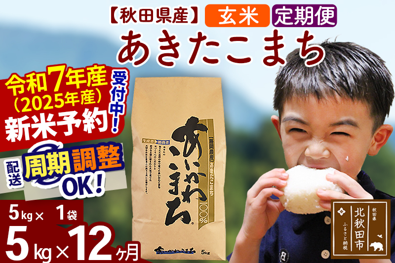 ※令和7年産 新米予約※《定期便12ヶ月》秋田県産 あきたこまち 5kg【玄米】(5kg小分け袋) 2025年産 お届け周期調整可能 隔月に調整OK お米 藤岡農産